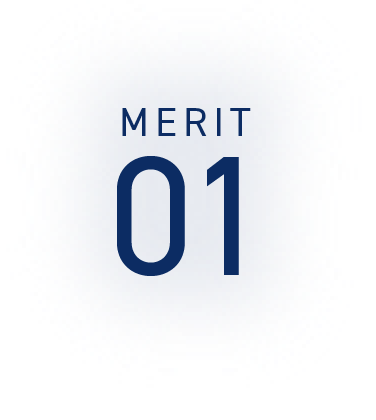 MERIT01