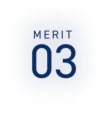 MERIT03